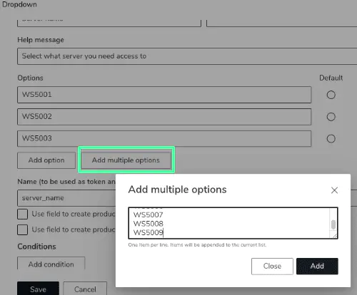 Screenshot: Bulk adding dropdown options