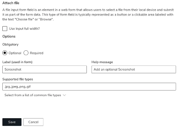 Screenshot: File upload field