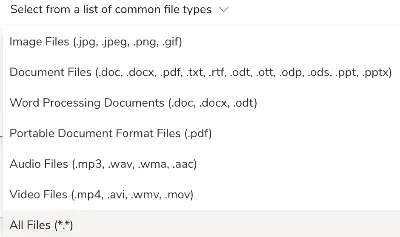 Screenshot: File type restriction configuration