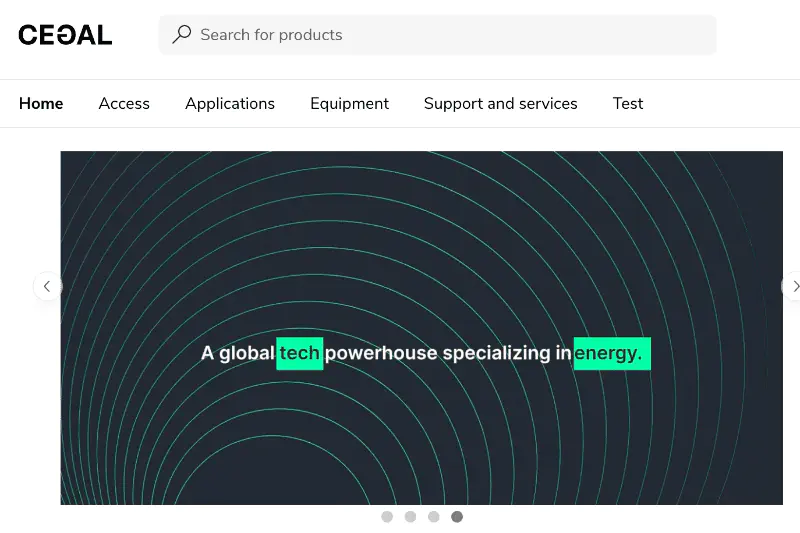 Screenshot: Example of formatted custom slide with image and text